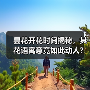 昙花开花时间揭秘，其花语寓意竟如此动人？