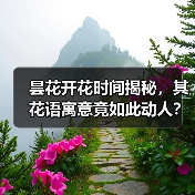 昙花开花时间揭秘,其花语寓意竟如此动人?(图4) 昙花开花时间揭秘,其花语寓意竟如此动人?(图4)