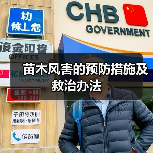苗木风害的预防措施及救治办法(图1) 苗木风害的预防措施及救治办法(图1)