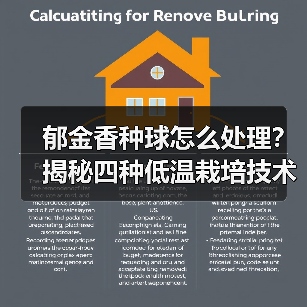 郁金香种球怎么处理?揭秘四种低温栽培技术(图3) 郁金香种球怎么处理?揭秘四种低温栽培技术(图3)