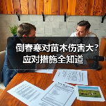 倒春寒对苗木伤害大?应对措施全知道(图2) 倒春寒对苗木伤害大?应对措施全知道(图2)