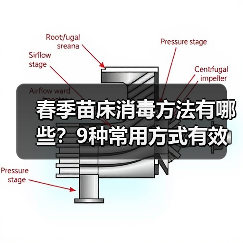 春季苗床消毒方法有哪些?9种常用方式有效防治病害(图2) 春季苗床消毒方法有哪些?9种常用方式有效防治病害(图2)