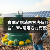 春季苗床消毒方法有哪些?9种常用方式有效防治病害(图1) 春季苗床消毒方法有哪些?9种常用方式有效防治病害(图1)
