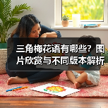 三角梅花语有哪些?图片欣赏与不同版本解析(图2) 三角梅花语有哪些?图片欣赏与不同版本解析(图2)