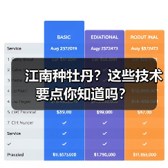 江南种牡丹?这些技术要点你知道吗?(图1) 江南种牡丹?这些技术要点你知道吗?(图1)