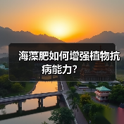 海藻肥如何增强植物抗病能力?(图3) 海藻肥如何增强植物抗病能力?(图3)