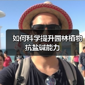 如何科学提升园林植物抗盐碱能力(图4) 如何科学提升园林植物抗盐碱能力(图4)