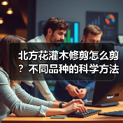 北方花灌木修剪怎么剪?不同品种的科学方法全解析(图2) 北方花灌木修剪怎么剪?不同品种的科学方法全解析(图2)