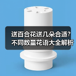 送百合花送几朵合适?不同数量花语大全解析(图2) 送百合花送几朵合适?不同数量花语大全解析(图2)