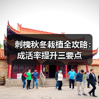 刺槐秋冬栽植全攻略：成活率提升三要点（图2）
