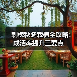 刺槐秋冬栽植全攻略：成活率提升三要点（图4）