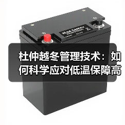 杜仲越冬管理技术：如何科学应对低温保障高产？（图2）