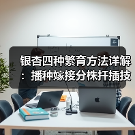 银杏四种繁育方法详解:播种嫁接分株扦插技巧(图2) 银杏四种繁育方法详解:播种嫁接分株扦插技巧(图2)