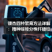 银杏四种繁育方法详解:播种嫁接分株扦插技巧(图1) 银杏四种繁育方法详解:播种嫁接分株扦插技巧(图1)