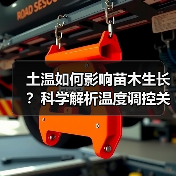 土温如何影响苗木生长?科学解析温度调控关键(图2) 土温如何影响苗木生长?科学解析温度调控关键(图2)