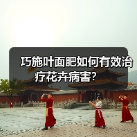 巧施叶面肥如何有效治疗花卉病害?(图1) 巧施叶面肥如何有效治疗花卉病害?(图1)