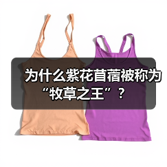 为什么紫花苜蓿被称为“牧草之王”?(图2) 为什么紫花苜蓿被称为“牧草之王”?(图2)