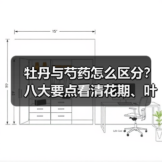 牡丹与芍药怎么区分?八大要点看清花期、叶片等差异(图3) 牡丹与芍药怎么区分?八大要点看清花期、叶片等差异(图3)