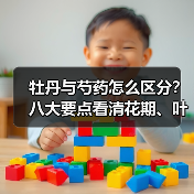 牡丹与芍药怎么区分?八大要点看清花期、叶片等差异(图2) 牡丹与芍药怎么区分?八大要点看清花期、叶片等差异(图2)