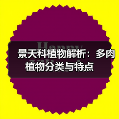 景天科植物解析：多肉植物分类与特点（图4）