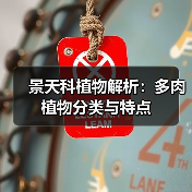景天科植物解析：多肉植物分类与特点（图2）