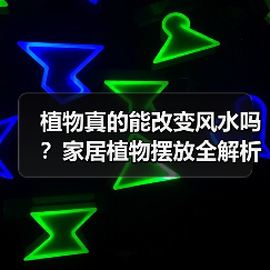 植物真的能改变风水吗?家居植物摆放全解析(图2) 植物真的能改变风水吗?家居植物摆放全解析(图2)