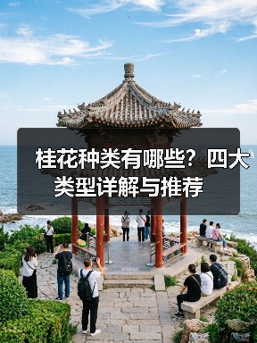 桂花种类有哪些?四大类型详解与推荐(图2) 桂花种类有哪些?四大类型详解与推荐(图2)