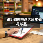 四步教你挑选优质水仙花球茎(图2) 四步教你挑选优质水仙花球茎(图2)