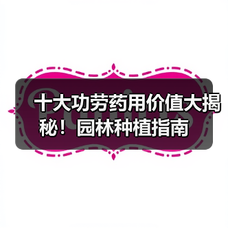 十大功劳药用价值大揭秘!园林种植指南(图2) 十大功劳药用价值大揭秘!园林种植指南(图2)