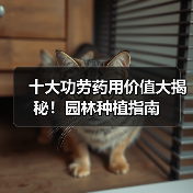 十大功劳药用价值大揭秘!园林种植指南(图1) 十大功劳药用价值大揭秘!园林种植指南(图1)