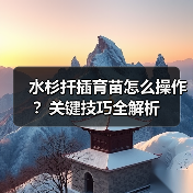 水杉扦插育苗怎么操作？关键技巧全解析（图2）