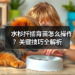 水杉扦插育苗怎么操作？关键技巧全解析（图3）