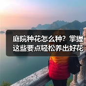 庭院种花怎么种?掌握这些要点轻松养出好花草(图2) 庭院种花怎么种?掌握这些要点轻松养出好花草(图2)