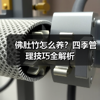 佛肚竹怎么养？四季管理技巧全解析（图1）