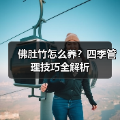 佛肚竹怎么养？四季管理技巧全解析（图4）