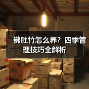 佛肚竹怎么养？四季管理技巧全解析（图3）