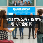 佛肚竹怎么养？四季管理技巧全解析（图2）