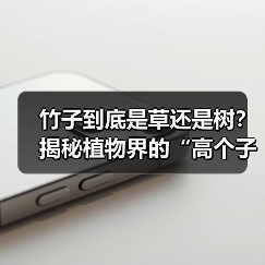 竹子到底是草还是树?揭秘植物界的“高个子草(图4) 竹子到底是草还是树?揭秘植物界的“高个子草(图4)