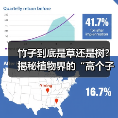 竹子到底是草还是树?揭秘植物界的“高个子草(图3) 竹子到底是草还是树?揭秘植物界的“高个子草(图3)