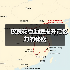 玫瑰花香助眠提升记忆力的秘密(图3) 玫瑰花香助眠提升记忆力的秘密(图3)