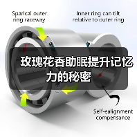 玫瑰花香助眠提升记忆力的秘密(图4) 玫瑰花香助眠提升记忆力的秘密(图4)