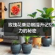 玫瑰花香助眠提升记忆力的秘密(图1) 玫瑰花香助眠提升记忆力的秘密(图1)
