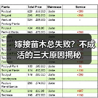 嫁接苗木总失败?不成活的三大原因揭秘(图2) 嫁接苗木总失败?不成活的三大原因揭秘(图2)