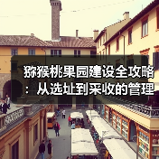 猕猴桃果园建设全攻略:从选址到采收的管理要点(图1) 猕猴桃果园建设全攻略:从选址到采收的管理要点(图1)