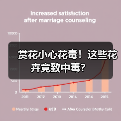 赏花小心花毒!这些花卉竟致中毒?(图3) 赏花小心花毒!这些花卉竟致中毒?(图3)