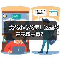 赏花小心花毒!这些花卉竟致中毒?(图2) 赏花小心花毒!这些花卉竟致中毒?(图2)