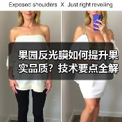 果园反光膜如何提升果实品质?技术要点全解析(图3) 果园反光膜如何提升果实品质?技术要点全解析(图3)
