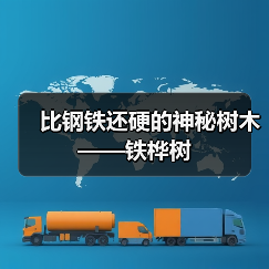 比钢铁还硬的神秘树木——铁桦树(图3) 比钢铁还硬的神秘树木——铁桦树(图3)