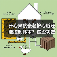 吃开心果有哪些功效？健康吃法全解析-云溯