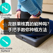 龙眼果核真的能种吗?手把手教你种植方法(图3) 龙眼果核真的能种吗?手把手教你种植方法(图3)
